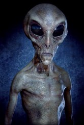Grey_Alien1