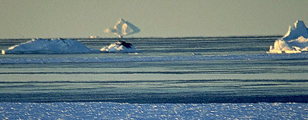 mirage_iceberg