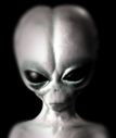 Grey_Alien4