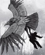 3473447-thunderbird-the_monster_hunter's_survival_guide#2