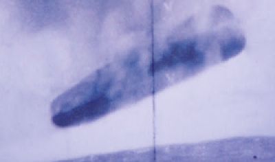 official trepang ufo 10